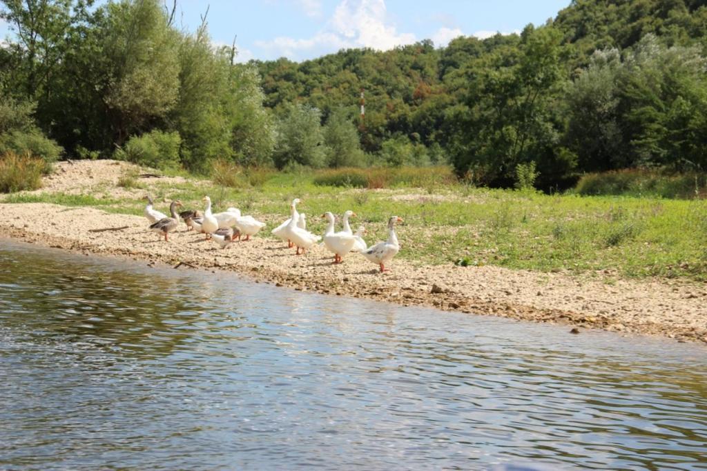 Holiday Home Rijeka Crnojevića Dış mekan fotoğraf